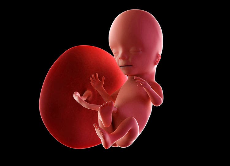 milimetre tanrinin gargara 38 haftada bebek hareketleri azalir mi sudecicekcilik net