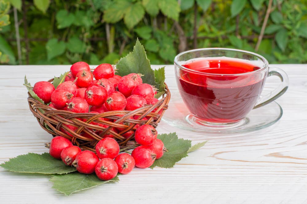 kalp sağlığı için alıç berry otlar)